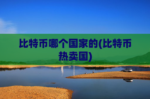 比特币哪个国家的(比特币热卖国)