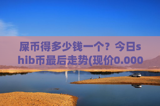 屎币得多少钱一个?今日shib币最后走势(现价0.00016558元)