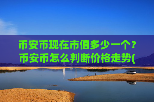 币安币现在市值多少一个?币安币怎么判断价格走势(现价4994.62元)
