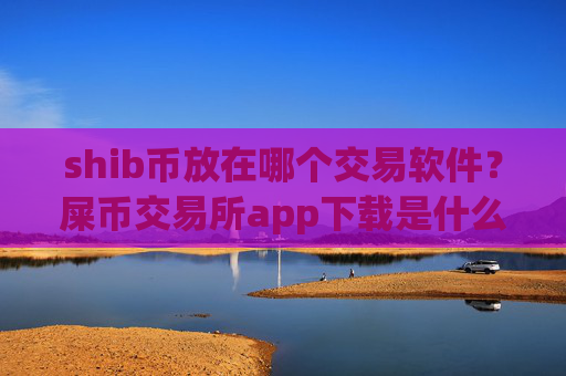 shib币放在哪个交易软件?屎币交易所app下载是什么