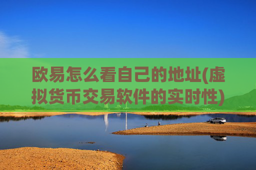 欧易怎么看自己的地址(虚拟货币交易软件的实时性)