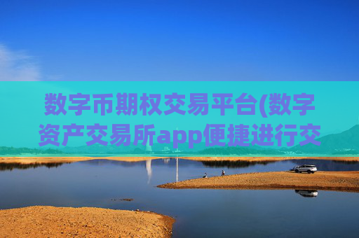 数字币期权交易平台(数字资产交易所app便捷进行交易)