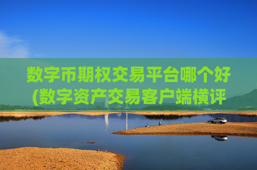 数字币期权交易平台哪个好(数字资产交易客户端横评)