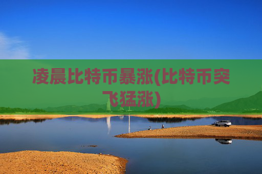 凌晨比特币暴涨(比特币突飞猛涨)