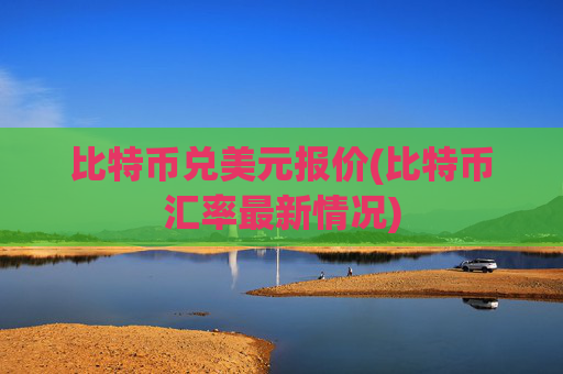 比特币兑美元报价(比特币汇率最新情况)