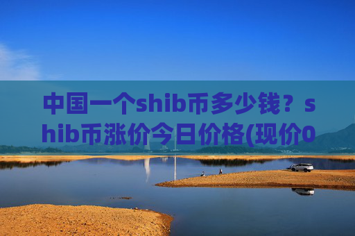 中国一个shib币多少钱?shib币涨价今日价格(现价0.00016493元)