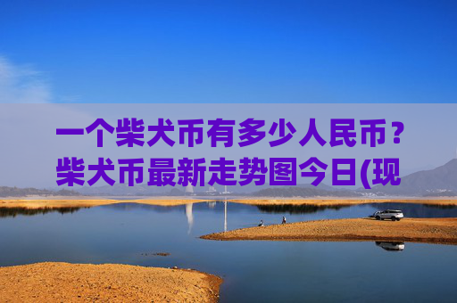 一个柴犬币有多少人民币？柴犬币最新走势图今日(现价0.00016515元)