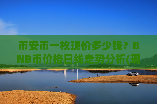 币安币一枚现价多少钱？BNB币价格日线走势分析(现价4979.23元)
