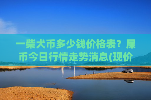 一柴犬币多少钱价格表？屎币今日行情走势消息(现价0.00016471元)