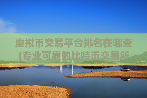 虚拟币交易平台排名在哪查(专业可靠的比特币交易所)