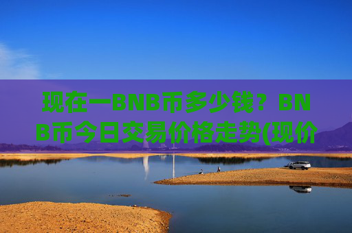 现在一BNB币多少钱?BNB币今日交易价格走势(现价4962.75元)