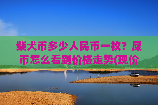 柴犬币多少人民币一枚？屎币怎么看到价格走势(现价0.00016536元)