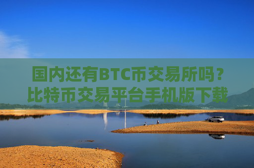 国内还有BTC币交易所吗?比特币交易平台手机版下载