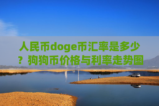 人民币doge币汇率是多少?狗狗币价格与利率走势图(现价2.3646元)