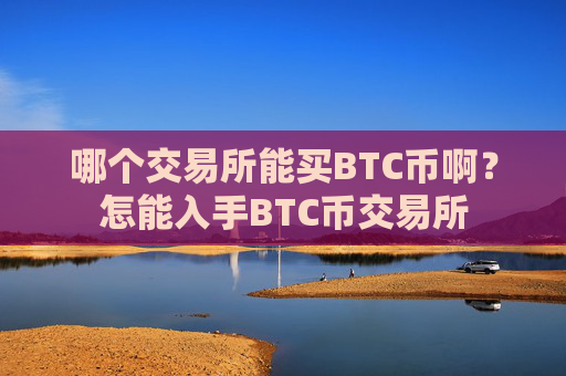 哪个交易所能买BTC币啊？怎能入手BTC币交易所