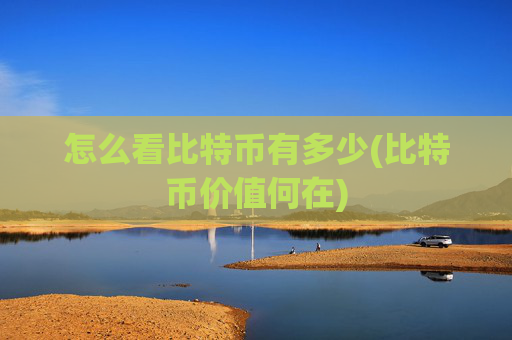 怎么看比特币有多少(比特币价值何在)