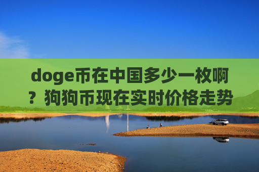 doge币在中国多少一枚啊?狗狗币现在实时价格走势(现价2.381元)