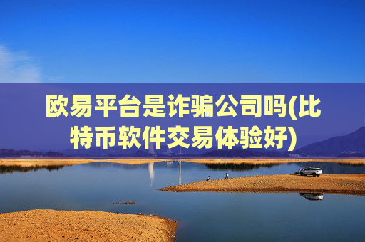 欧易平台是诈骗公司吗(比特币软件交易体验好)