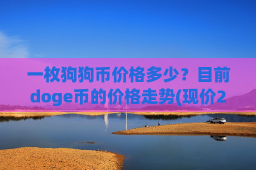 一枚狗狗币价格多少？目前doge币的价格走势(现价2.3826元)