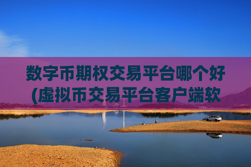 数字币期权交易平台哪个好(虚拟币交易平台客户端软件)