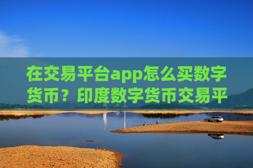 在交易平台app怎么买数字货币?印度数字货币交易平台app官网