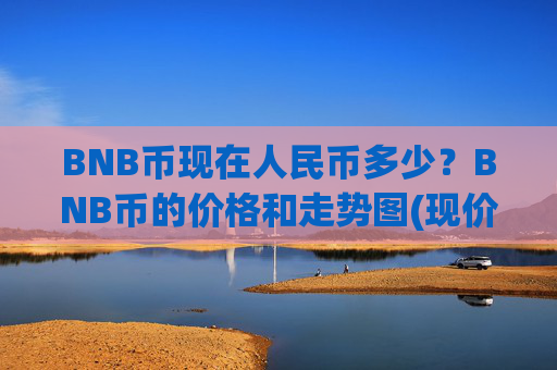 BNB币现在人民币多少?BNB币的价格和走势图(现价4998.85元)