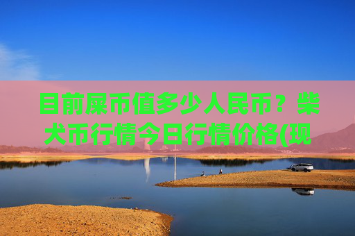 目前屎币值多少人民币？柴犬币行情今日行情价格(现价0.00016784元)
