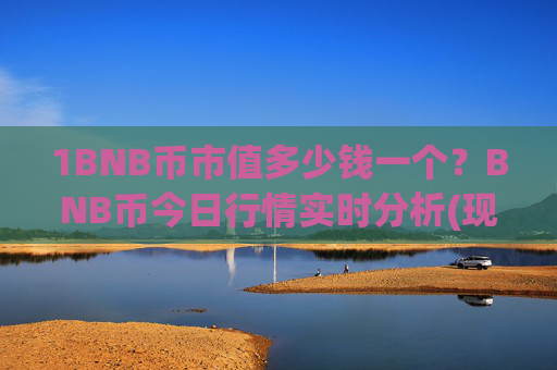 1BNB币市值多少钱一个？BNB币今日行情实时分析(现价4995.2元)