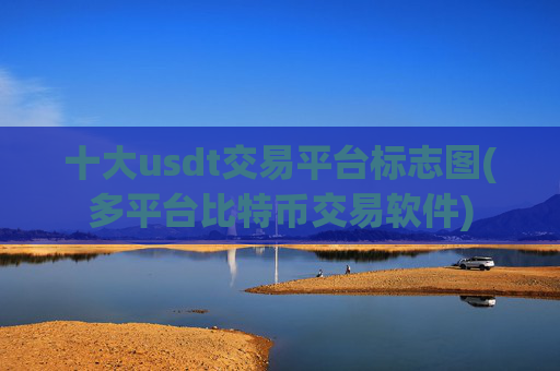 十大usdt交易平台标志图(多平台比特币交易软件)