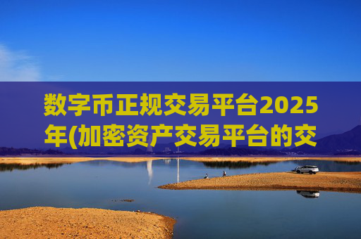 数字币正规交易平台2025年(加密资产交易平台的交易规则)