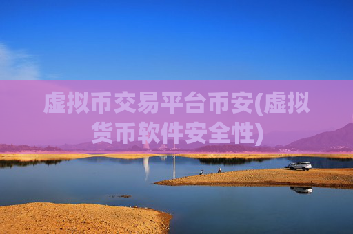 虚拟币交易平台币安(虚拟货币软件安全性)