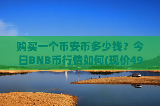 购买一个币安币多少钱?今日BNB币行情如何(现价4997.39元)