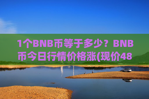 1个BNB币等于多少?BNB币今日行情价格涨(现价4837.57元)