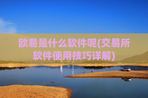 欧易是什么软件呢(交易所软件使用技巧详解)