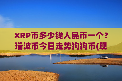 XRP币多少钱人民币一个?瑞波币今日走势狗狗币(现价16.6203元)