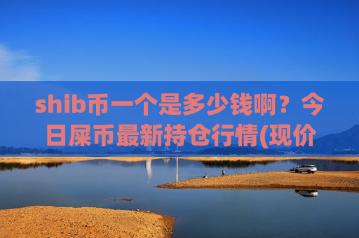 shib币一个是多少钱啊?今日屎币最新持仓行情(现价0.00016533元)