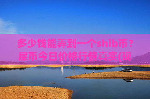 多少钱能弄到一个shib币？屎币今日价格行情真实(现价0.00016806元)